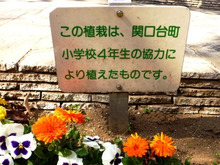 銀座かなめ屋・三代目のブログ-神田川沿い