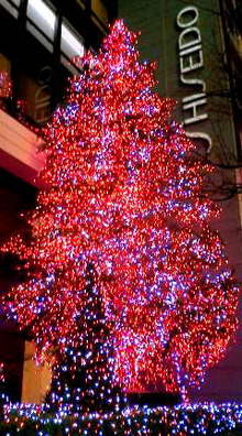銀座かなめ屋のブログ-資生堂さんのクリスマスツリー
