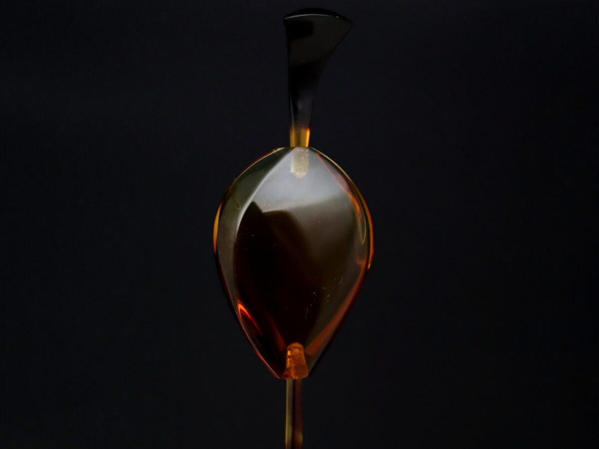 べっ甲バルティックアンバー一本挿し2026｜天然琥珀の煌めき